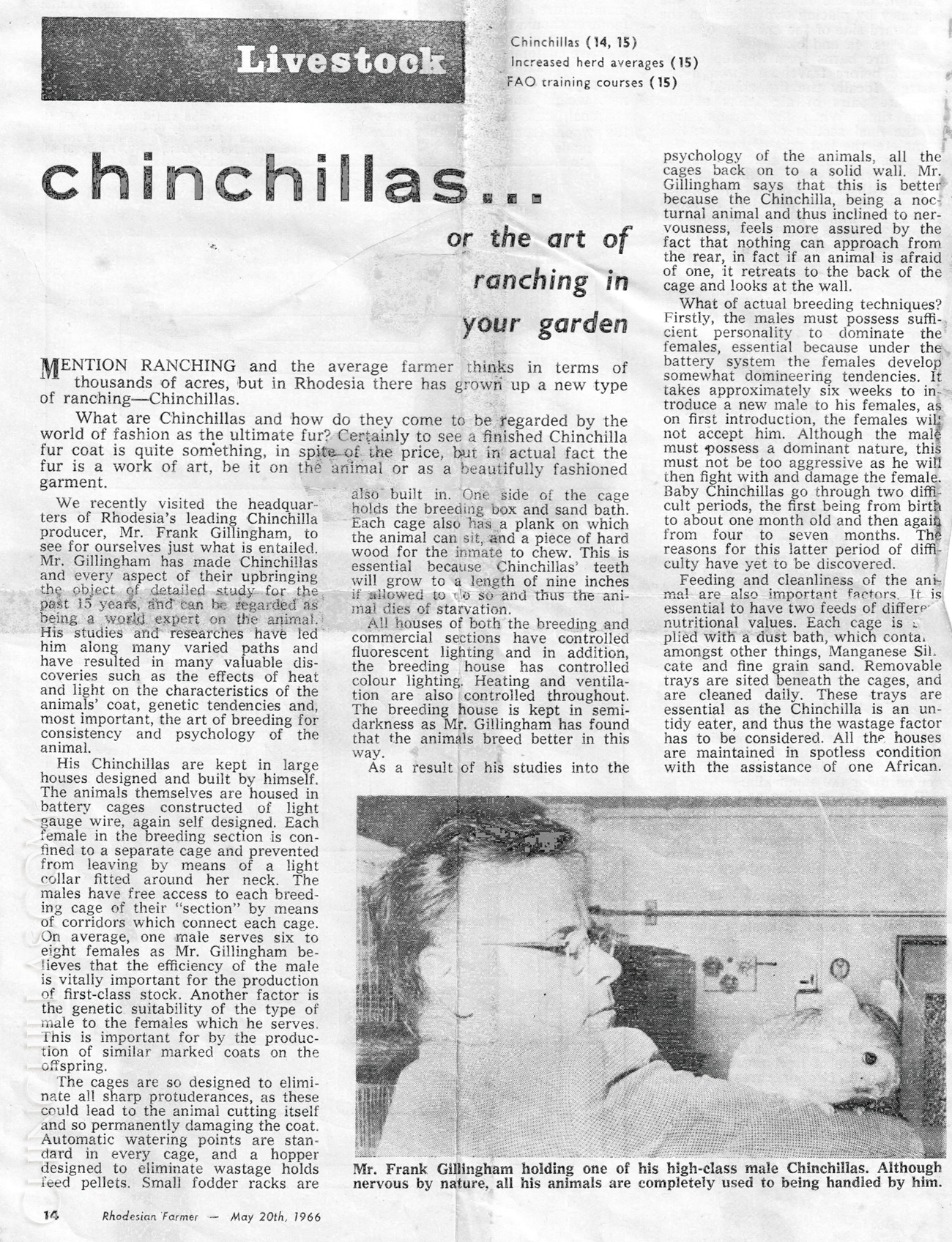 chinchillas art of ranching in your garden Rhodesian Farmer violet Frank Gillingham